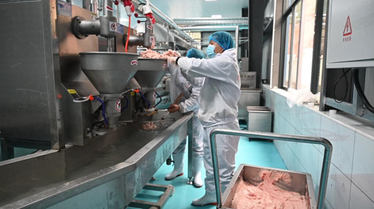 The Essential Role of Flake Ice Machine, Tube Ice Machine, and Cube Ice Machine in Meatball and Fishball Production