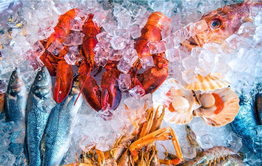Revolutionizing Seafood Preservation with Flake Ice Machines